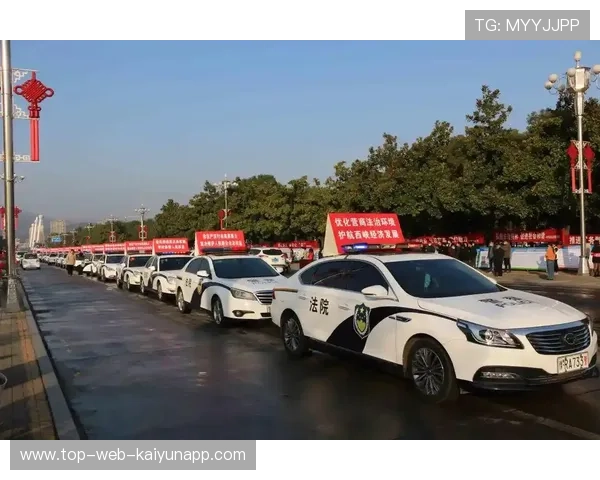 广东英德法院回应警车现身山姆事件：情况属实将严处，广东英德浛洸